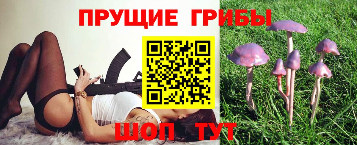 Псилоцибиновые грибы ЛСД  Галлюциногенные грибы Psilocybine cubensis  Вход с VPN  Бийск 